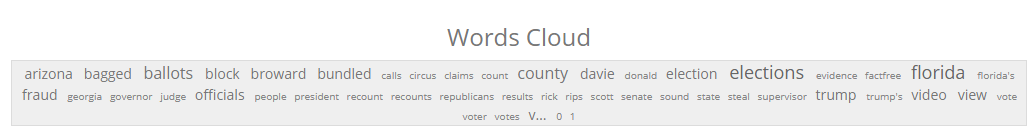 Word Cloud - Florida Election